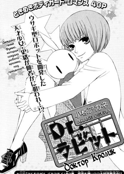 Dr.Rabbit обложка