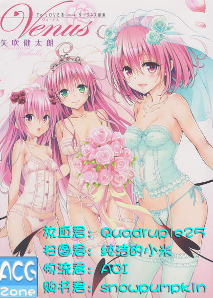 To LOVE-ru Darkness (Artbook) обложка