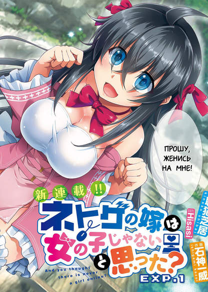 Netoge no Yome wa Onnanoko ja Nai to Omotta? обложка