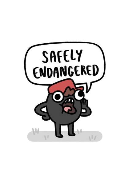 Safely Endangered обложка