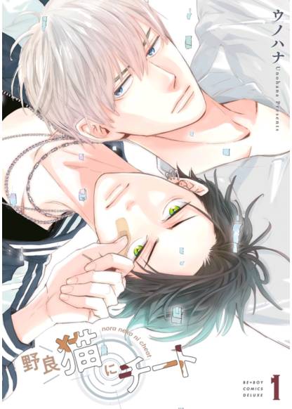 Nora neko ni cheat обложка