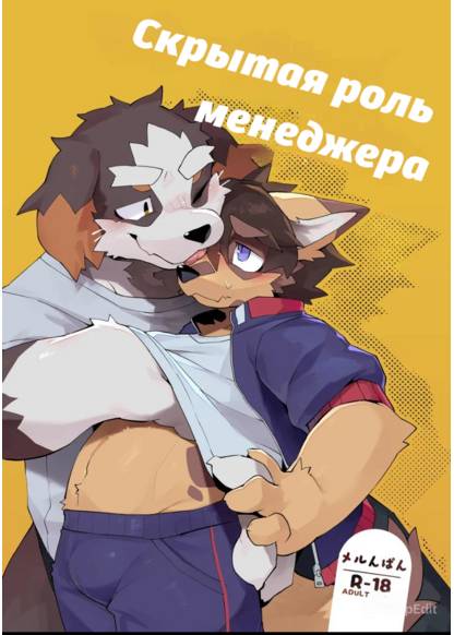 The Manager’s Hidden Role обложка