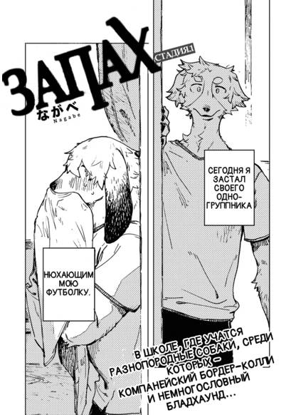 Smell обложка