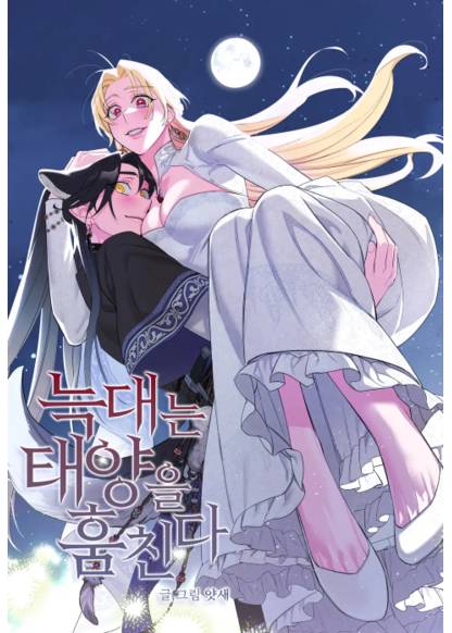 The Wolf Stole the Sun обложка